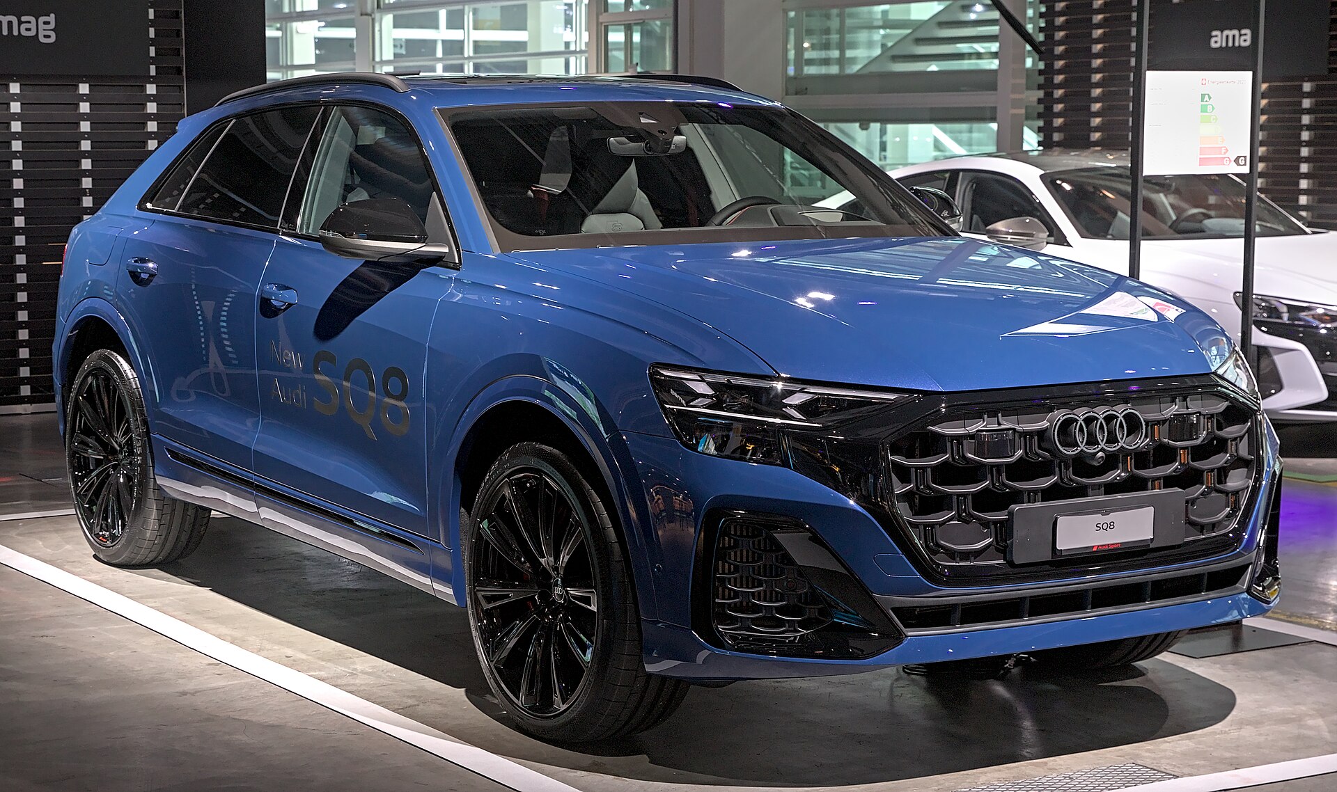 Audi SQ8 Modellbild für Schweizer Typenschein- und Fahrzeugdaten